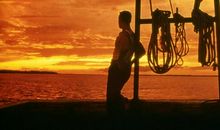 阿甘教会我坚持