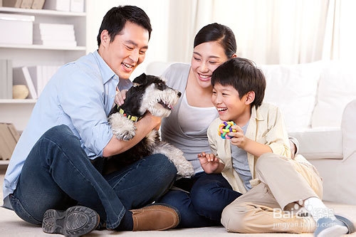 热爱家庭妈妈的人