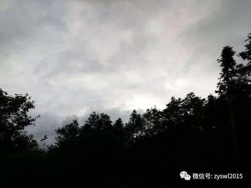 云中的绿色