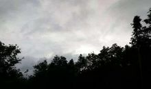 云雾中的那抹绿