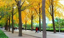 秋天的人民公园