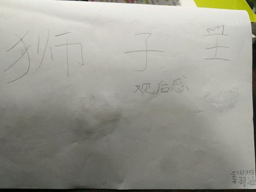 评论“狮子王”