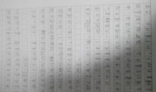 关于真情的作文