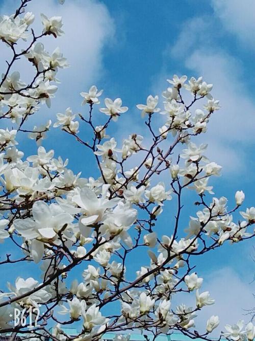 春季活动