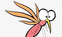 一只蚊子的历险