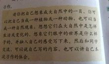 写大自然中的观察和发现作文