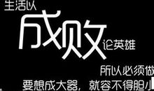 不与英雄论成败