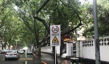 学校门前的那条路