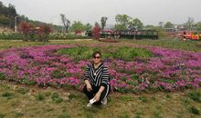 木兰花乡一日游