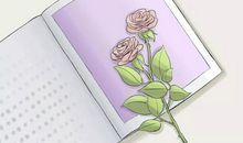 最是读书使人美