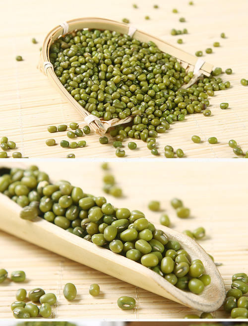小绿豆的自述文件
