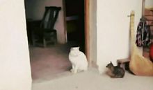 黑夜牵动我情思