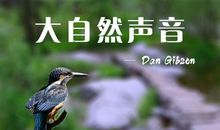 听，大自然的声音