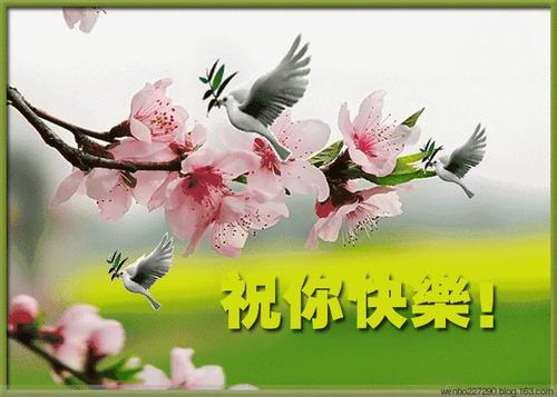 我亲爱的同桌