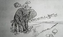 看图写话2年级小兔过河