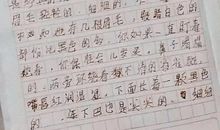 关于奇思妙想的作文600字