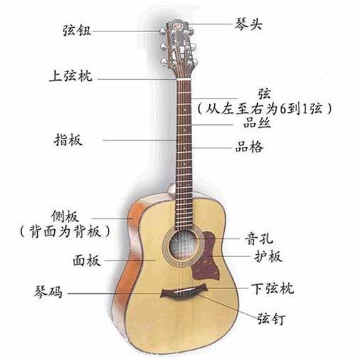 不寻常的吉他