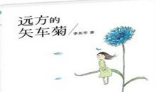 远方的矢车菊读后感