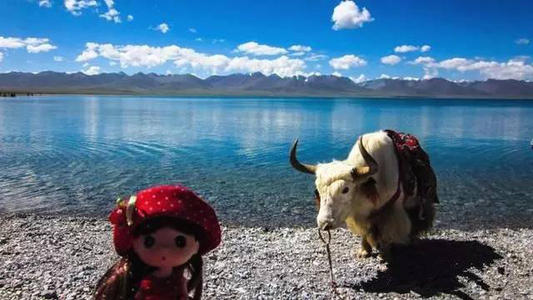 带爱旅行