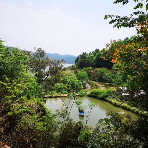 山上美丽的风景