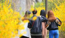 莫让青春付流水