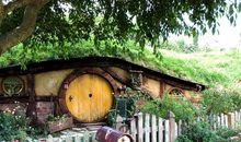 聆听大自然的心跳