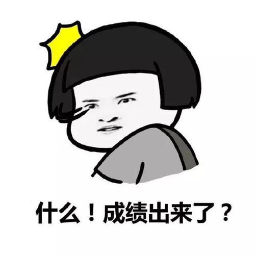分数出来了