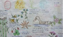 大自然是我的老师