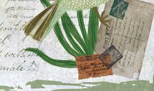 给天空的一封信