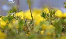 那些温暖的回忆