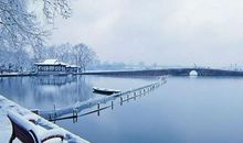 雨中架起的安心桥