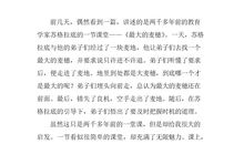 最大的麦穗读后感