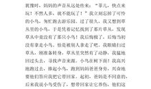 小鸟学做操作文