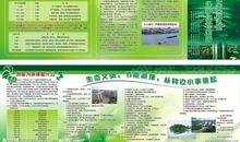 创建绿色文明家园