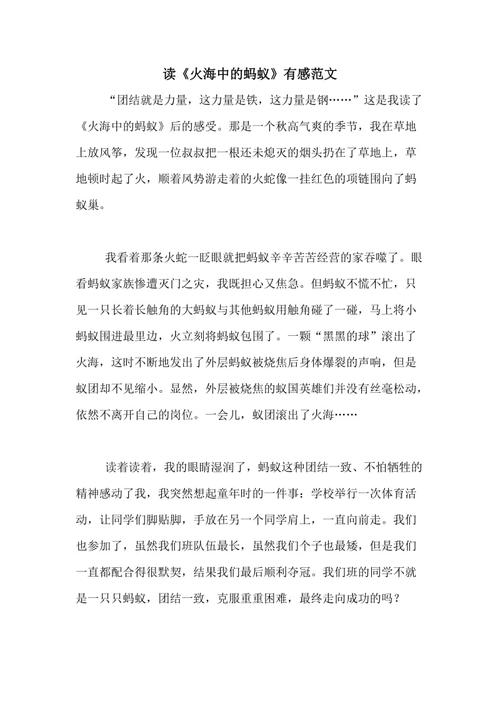 阅读“知道并不意味着掌握”后的思考