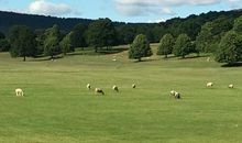带上绿色去旅行