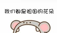 我们是祖国的花朵