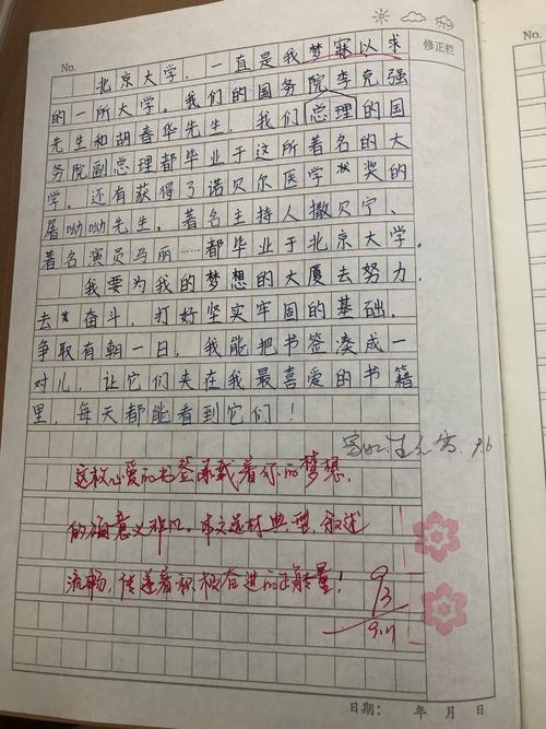 写一篇关于你所爱的作品