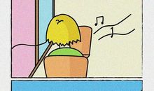 小黄短暂的一生