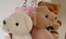 可爱的小熊娃娃