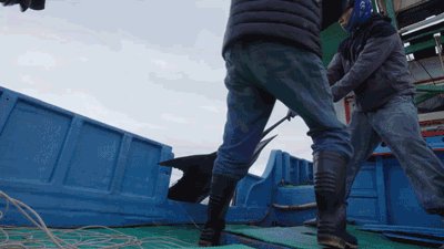 电影