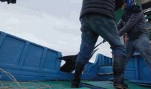 一帧动人的照片