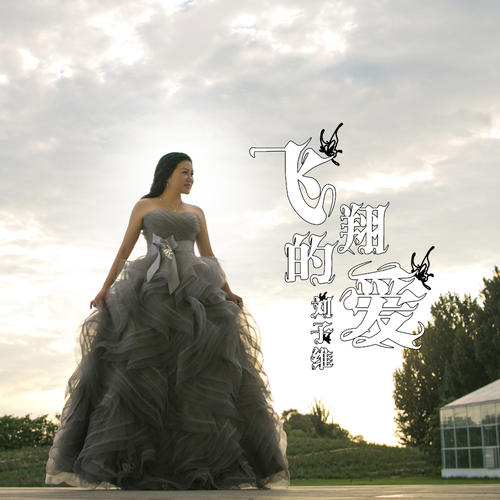 音乐飞翔