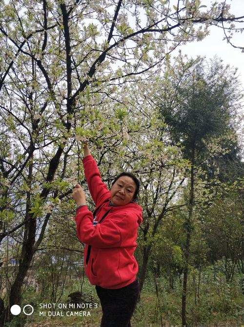 难忘的香味