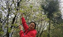 难忘那一缕芳香