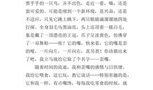 我的心爱之物作文五年级400字