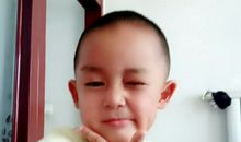 叶落虫鸣读后感