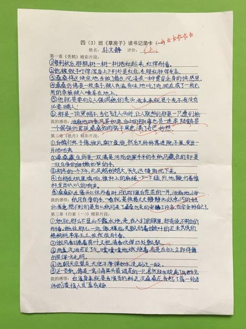 我眼中的稻草屋组成