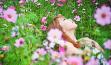 这句话，我要说给格桑花听