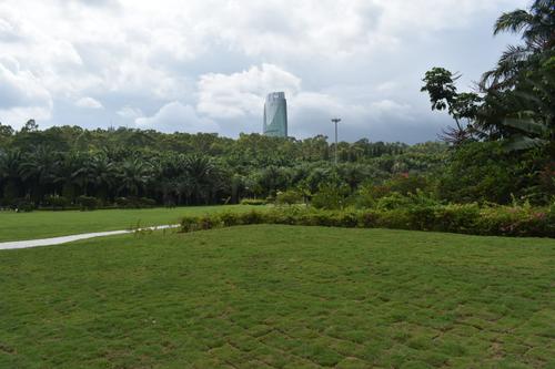 美丽的莲花山公园